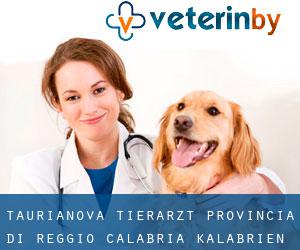 Taurianova tierarzt (Provincia di Reggio Calabria, Kalabrien)
