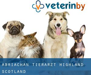 Abriachan tierarzt (Highland, Scotland)