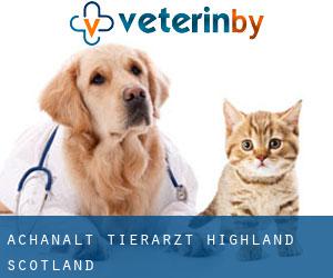 Achanalt tierarzt (Highland, Scotland)