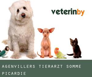 Agenvillers tierarzt (Somme, Picardie)