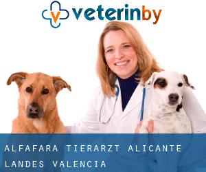 Alfafara tierarzt (Alicante, Landes Valencia)