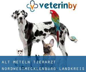 Alt Meteln tierarzt (Nordwestmecklenburg Landkreis, Mecklenburg-Vorpommern)