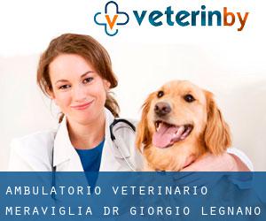Ambulatorio veterinario Meraviglia Dr. Giorgio (Legnano)
