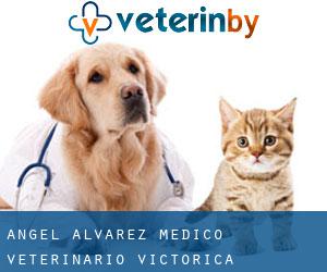 Angel Alvarez Medico Veterinario (Victorica)