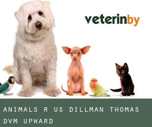 Animals R US: Dillman Thomas DVM (Upward)