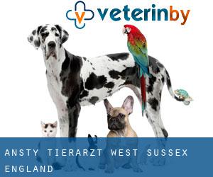 Ansty tierarzt (West Sussex, England)