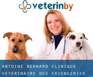Antoine Bernard: Clinique Vétérinaire des Faienceries (Saargemünd)