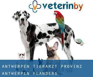 Antwerpen tierarzt (Provinz Antwerpen, Flanders) Antwerpen tierarzt (Provinz Antwerpen, Flanders)