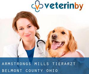 Armstrongs Mills tierarzt (Belmont County, Ohio)