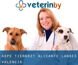 Aspe tierarzt (Alicante, Landes Valencia)