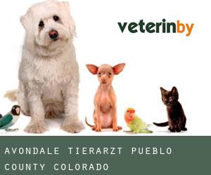 Avondale tierarzt (Pueblo County, Colorado)