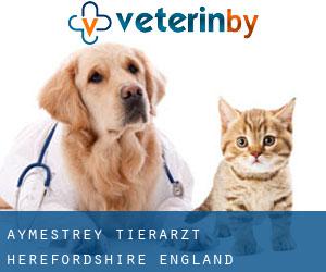 Aymestrey tierarzt (Herefordshire, England)