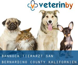 Bannock tierarzt (San Bernardino County, Kalifornien)