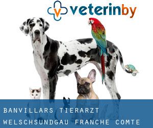 Banvillars tierarzt (Welschsundgau, Franche-Comté)