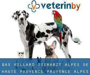 Bas Villard tierarzt (Alpes-de-Haute-Provence, Provence-Alpes-Côte d'Azur)