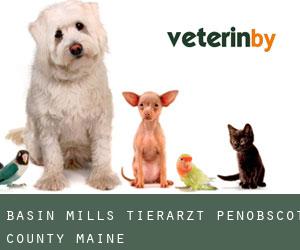 Basin Mills tierarzt (Penobscot County, Maine)