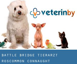 Battle Bridge tierarzt (Roscommon, Connaught)
