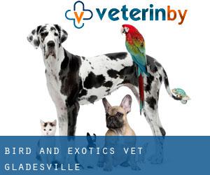 Bird and exotics vet (Gladesville)