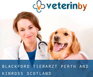 Blackford tierarzt (Perth and Kinross, Scotland)