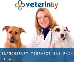 Blancherupt tierarzt (Bas-Rhin, Elsaß)