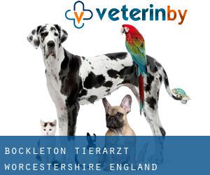 Bockleton tierarzt (Worcestershire, England)