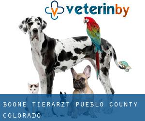 Boone tierarzt (Pueblo County, Colorado)