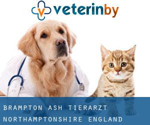 Brampton Ash tierarzt (Northamptonshire, England)