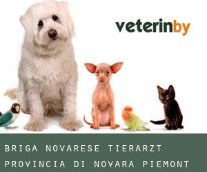 Briga Novarese tierarzt (Provincia di Novara, Piemont)