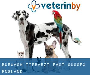 Burwash tierarzt (East Sussex, England)