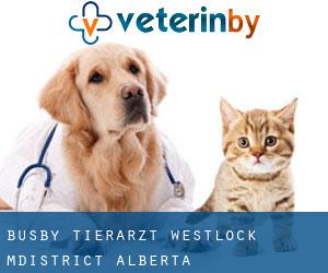 Busby tierarzt (Westlock M.District, Alberta)