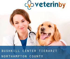 Bushkill Center tierarzt (Northampton County, Pennsylvania)