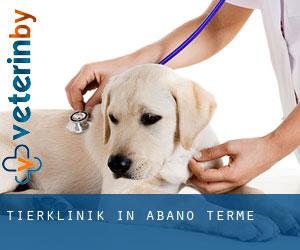 Tierklinik in Abano Terme