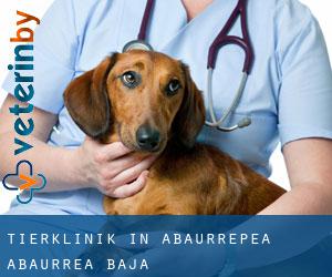 Tierklinik in Abaurrepea / Abaurrea Baja