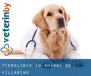 Tierklinik in Ahigal de Villarino