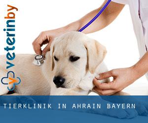 Tierklinik in Ahrain (Bayern)