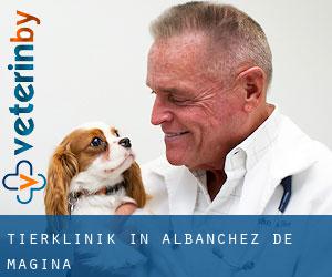 Tierklinik in Albanchez de Mágina