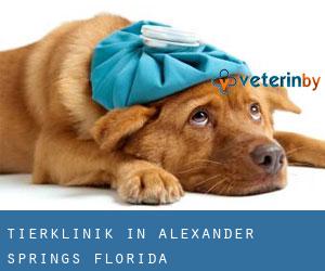 Tierklinik in Alexander Springs (Florida)