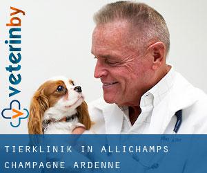 Tierklinik in Allichamps (Champagne-Ardenne)
