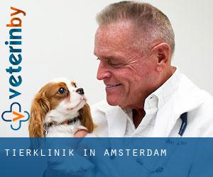 Tierklinik in Amsterdam