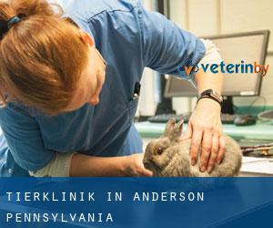 Tierklinik in Anderson (Pennsylvania)