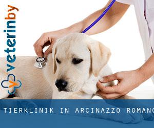 Tierklinik in Arcinazzo Romano