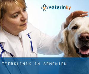Tierklinik in Armenien