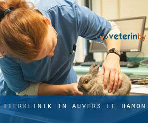Tierklinik in Auvers-le-Hamon