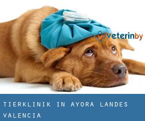 Tierklinik in Ayora (Landes Valencia)
