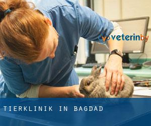 Tierklinik in Bagdad