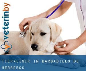 Tierklinik in Barbadillo de Herreros
