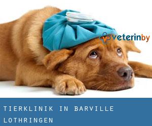 Tierklinik in Barville (Lothringen)