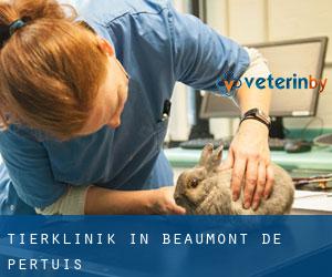 Tierklinik in Beaumont-de-Pertuis