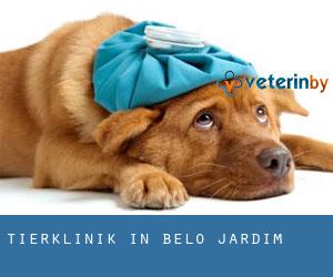 Tierklinik in Belo Jardim