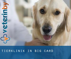 Tierklinik in Big Card